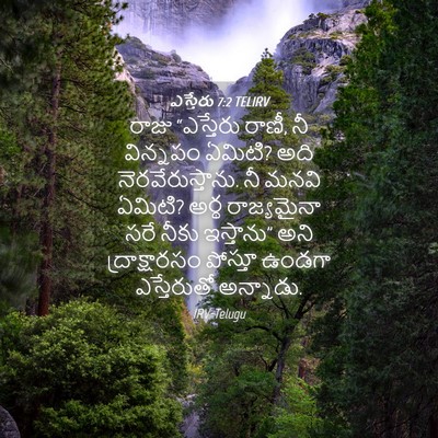 Picture 04 - ఎస్తేరు 7:2 TELIRV - రాజు “ఎస్తేరు - Bible Verse Picture