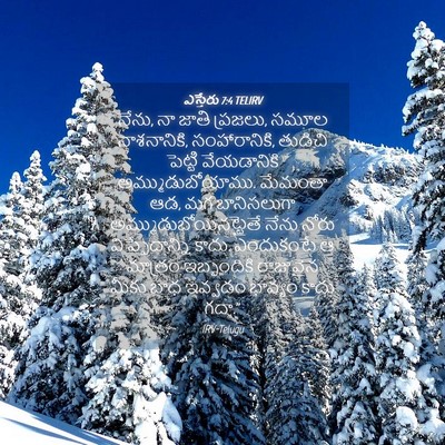 Picture 04 - ఎస్తేరు 7:4 TELIRV - నేను, నా జాతి - Bible Verse Picture