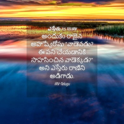 Picture 04 - ఎస్తేరు 7:5 TELIRV - అందుకు రాజైన - Bible Verse Picture