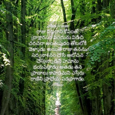 Picture 04 - ఎస్తేరు 7:7 TELIRV - రాజు పట్టరాని - Bible Verse Picture