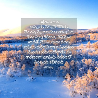 Picture 04 - ఎస్తేరు 8:15 TELIRV - అప్పుడు మొర్దెకై - Bible Verse Picture