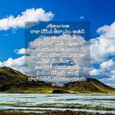 Picture 04 - ఎస్తేరు 8:17 TELIRV - రాజు చేసిన - Bible Verse Picture