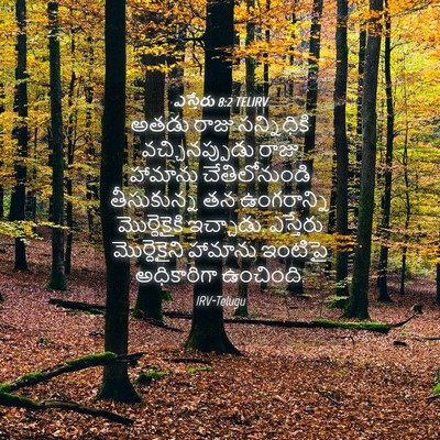 Picture 04 - ఎస్తేరు 8:2 TELIRV - అతడు రాజు - Bible Verse Picture