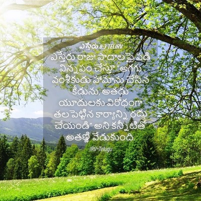 Picture 04 - ఎస్తేరు 8:3 TELIRV - ఎస్తేరు రాజు - Bible Verse Picture