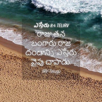 Picture 04 - ఎస్తేరు 8:4 TELIRV - రాజు తన బంగారు రాజ - Bible Verse Picture