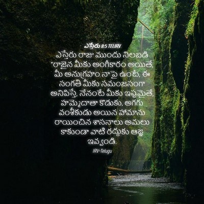 Picture 04 - ఎస్తేరు 8:5 TELIRV - ఎస్తేరు రాజు - Bible Verse Picture