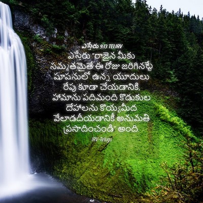 Picture 04 - ఎస్తేరు 9:13 TELIRV - ఎస్తేరు “రాజైన - Bible Verse Picture