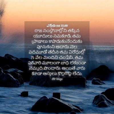 Picture 04 - ఎస్తేరు 9:16 TELIRV - రాజ - Bible Verse Picture