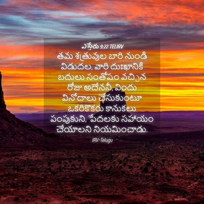 Picture 04 - ఎస్తేరు 9:22 TELIRV - తమ శత్రువుల బారి - Bible Verse Picture