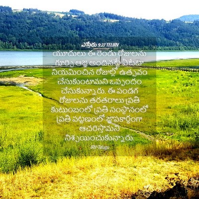 Picture 04 - ఎస్తేరు 9:27 TELIRV - యూదులు ఈ రెండు - Bible Verse Picture