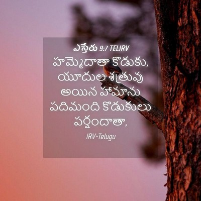 Picture 04 - ఎస్తేరు 9:7 TELIRV - హమ్మెదాతా కొడుకు, - Bible Verse Picture