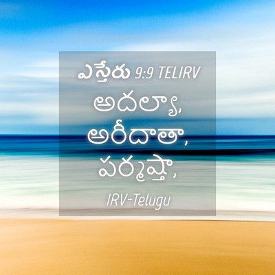 Picture 04 - ఎస్తేరు 9:9 TELIRV - అదల్యా, అరీదాతా, - Bible Verse Picture