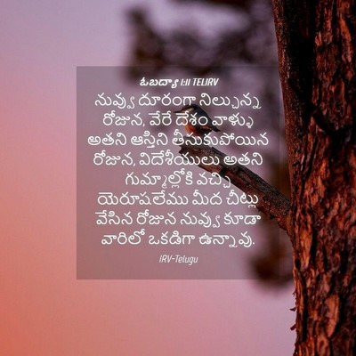 Picture 04 - ఓబద్యా 1:11 TELIRV - నువ్వు దూరంగా - Bible Verse Picture