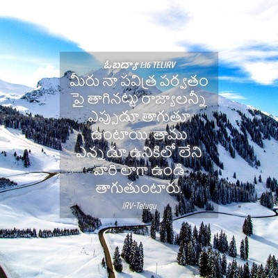 Picture 04 - ఓబద్యా 1:16 TELIRV - మీరు నా పవిత్ర - Bible Verse Picture