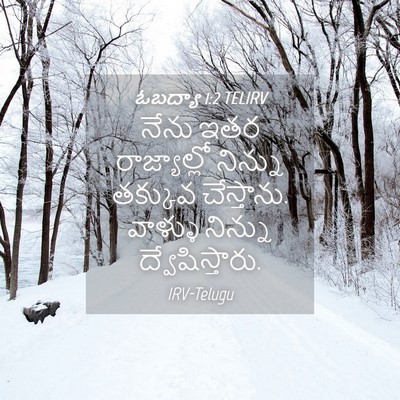 Picture 04 - ఓబద్యా 1:2 TELIRV - నేను ఇతర - Bible Verse Picture
