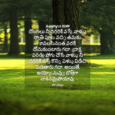 Picture 04 - ఓబద్యా 1:5 TELIRV - దొంగలు నీ - Bible Verse Picture