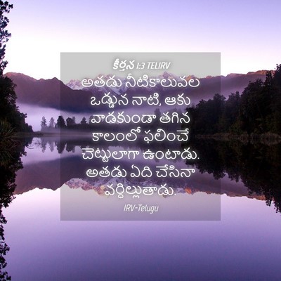Picture 04 - కీర్తన 1:3 TELIRV - అతడు నీటికాలువల - Bible Verse Picture