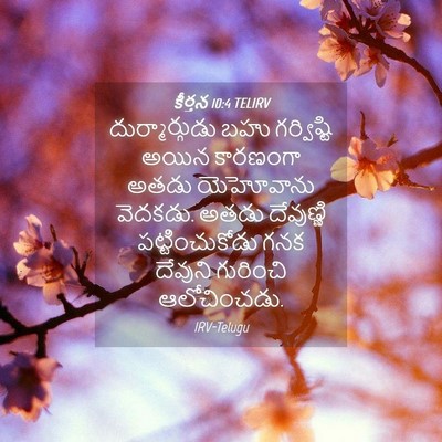 Picture 04 - కీర్తన 10:4 TELIRV - దుర్మార్గుడు బహు - Bible Verse Picture