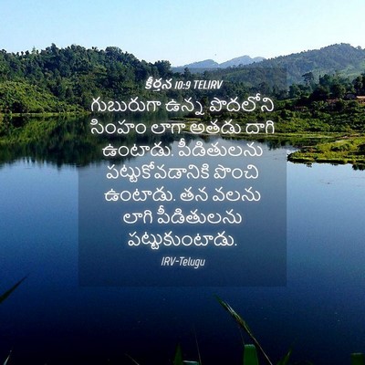 Picture 04 - కీర్తన 10:9 TELIRV - గుబురుగా ఉన్న - Bible Verse Picture