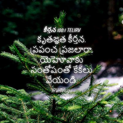 Picture 04 - కీర్తన 100:1 TELIRV - కృతజ్ఞత కీర్తన. - Bible Verse Picture