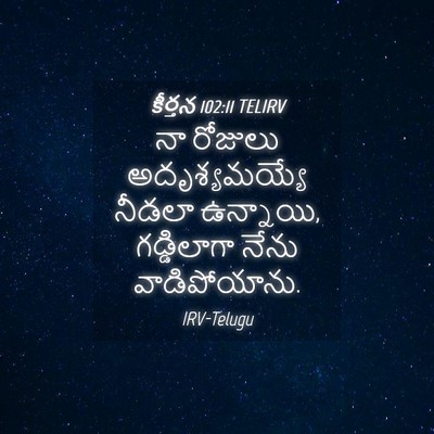 Picture 04 - కీర్తన 102:11 TELIRV - నా రోజులు - Bible Verse Picture