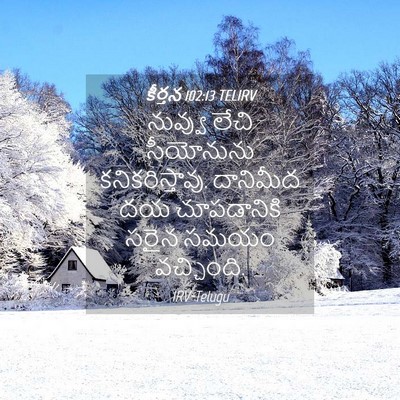 Picture 04 - కీర్తన 102:13 TELIRV - నువ్వు లేచి - Bible Verse Picture