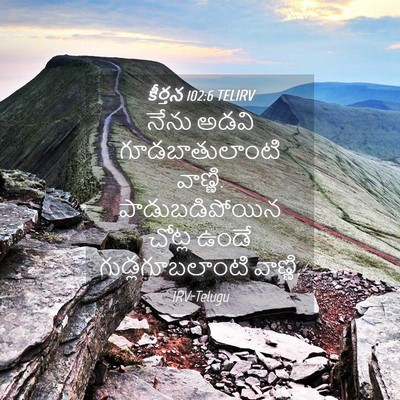 Picture 04 - కీర్తన 102:6 TELIRV - నేను అడవి - Bible Verse Picture