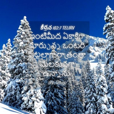 Picture 04 - కీర్తన 102:7 TELIRV - ఇంటిమీద ఏకాకిగా - Bible Verse Picture