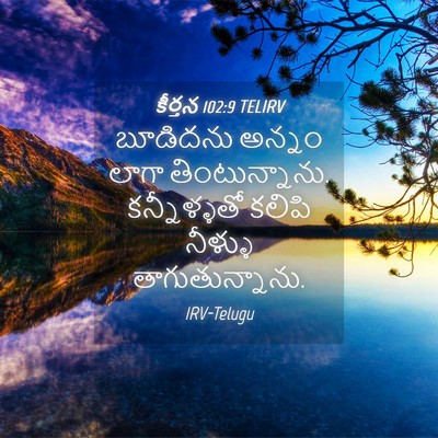 Picture 04 - కీర్తన 102:9 TELIRV - బూడిదను అన్నం - Bible Verse Picture