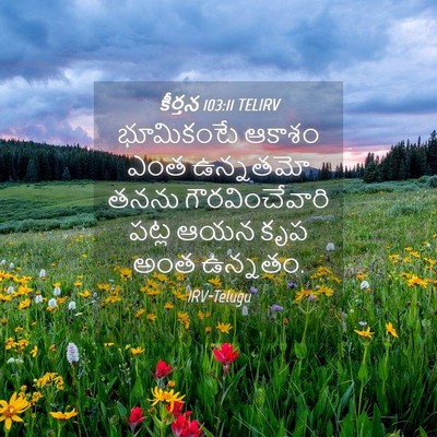 Picture 04 - కీర్తన 103:11 TELIRV - భూమికంటే ఆకాశం - Bible Verse Picture