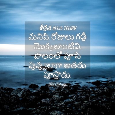 Picture 04 - కీర్తన 103:15 TELIRV - మనిషి రోజులు - Bible Verse Picture