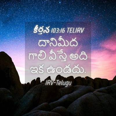 Picture 04 - కీర్తన 103:16 TELIRV - దానిమీద గాలి - Bible Verse Picture