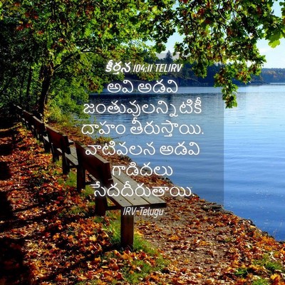 Picture 04 - కీర్తన 104:11 TELIRV - అవి అడవి - Bible Verse Picture