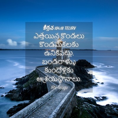 Picture 04 - కీర్తన 104:18 TELIRV - ఎత్తయిన కొండలు - Bible Verse Picture