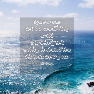 Picture 04 - కీర్తన 104:27 TELIRV - తగిన కాలంలో నీవు - Bible Verse Picture