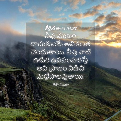 Picture 04 - కీర్తన 104:29 TELIRV - నీవు ముఖం - Bible Verse Picture