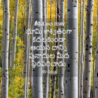 Picture 04 - కీర్తన 104:5 TELIRV - భూమి శాశ్వతంగా - Bible Verse Picture