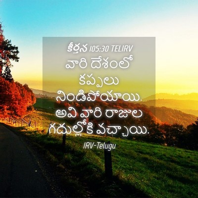 Picture 04 - కీర్తన 105:30 TELIRV - వారి దేశంలో - Bible Verse Picture