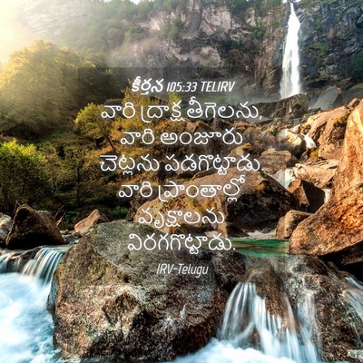Picture 04 - కీర్తన 105:33 TELIRV - వారి - Bible Verse Picture
