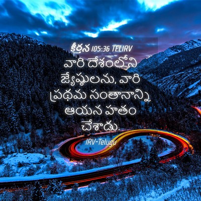 Picture 04 - కీర్తన 105:36 TELIRV - వారి దేశంలోని - Bible Verse Picture
