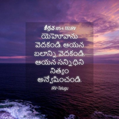 Picture 04 - కీర్తన 105:4 TELIRV - యెహోవాను వెదకండి. - Bible Verse Picture