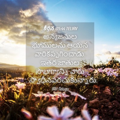 Picture 04 - కీర్తన 105:44 TELIRV - అన్యజనుల భూములను - Bible Verse Picture