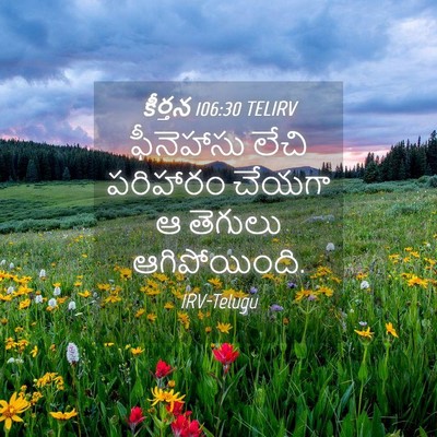 Picture 04 - కీర్తన 106:30 TELIRV - ఫీనెహాసు లేచి - Bible Verse Picture
