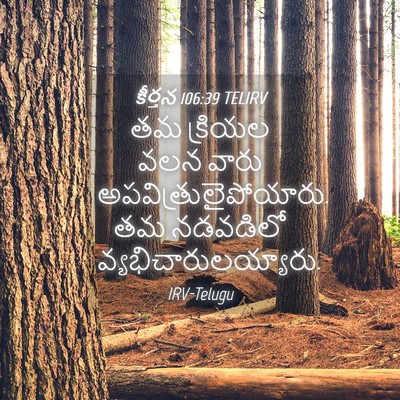 Picture 04 - కీర్తన 106:39 TELIRV - తమ క్రియల వలన వారు - Bible Verse Picture