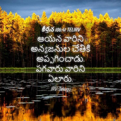 Picture 04 - కీర్తన 106:41 TELIRV - ఆయన వారిని - Bible Verse Picture