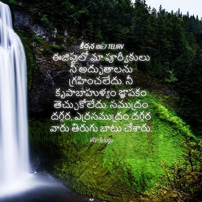 Picture 04 - కీర్తన 106:7 TELIRV - ఈజిప్టులో మా - Bible Verse Picture
