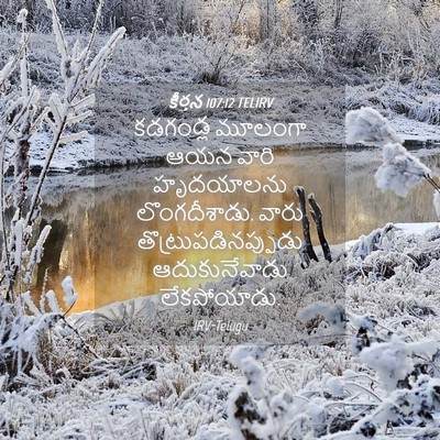 Picture 04 - కీర్తన 107:12 TELIRV - కడగండ్ల మూలంగా - Bible Verse Picture