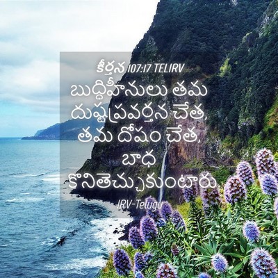 Picture 04 - కీర్తన 107:17 TELIRV - బుద్ధిహీనులు తమ - Bible Verse Picture