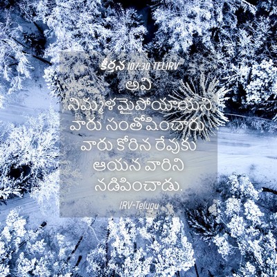 Picture 04 - కీర్తన 107:30 TELIRV - అవి - Bible Verse Picture