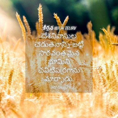 Picture 04 - కీర్తన 107:34 TELIRV - దేశనివాసుల - Bible Verse Picture